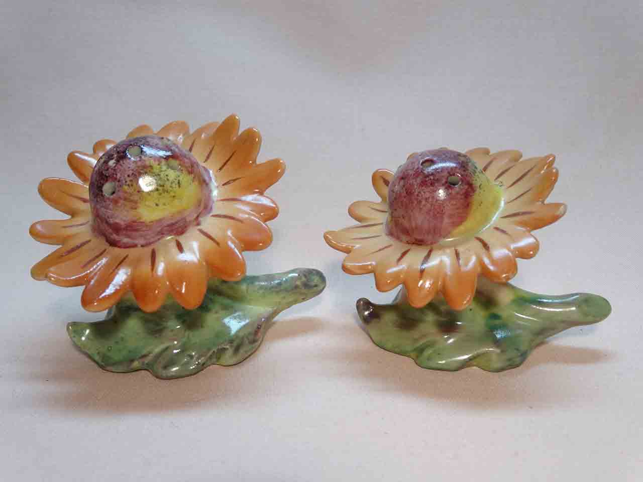 Goebel flowers salt and pepper shakers