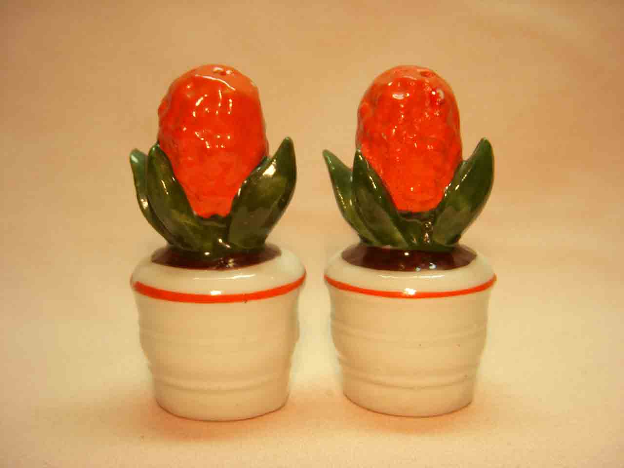 Germany flowers salt and pepper shakers