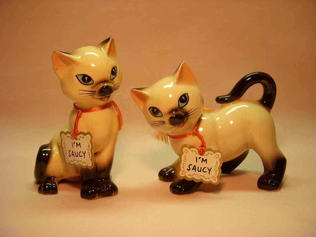 Kittens by Karen - cat salt and pepper shakers - "I'm Saucy"