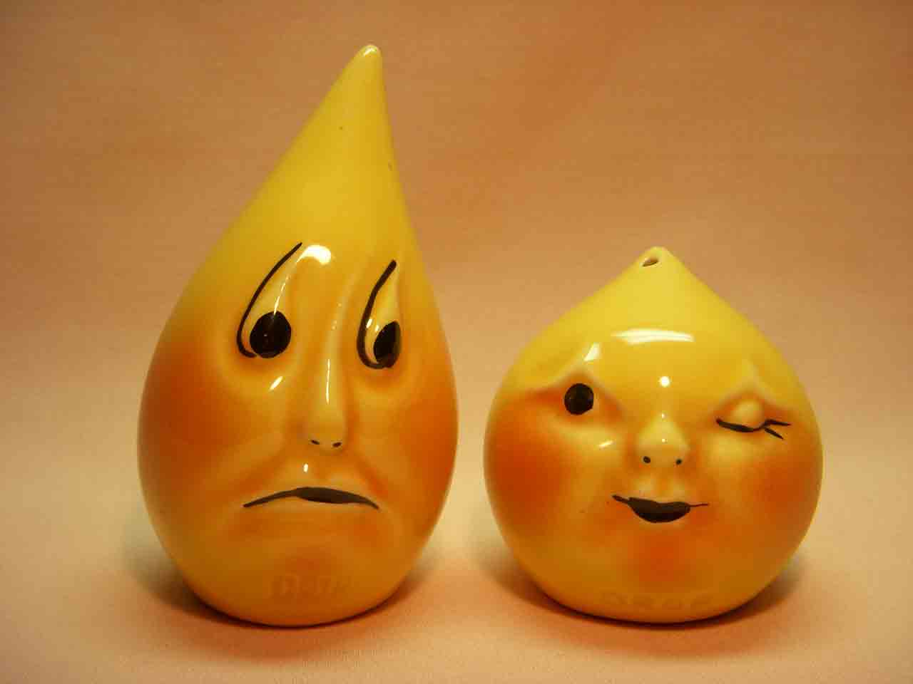 Vallona Starr Drip and Drop salt and pepper shakers