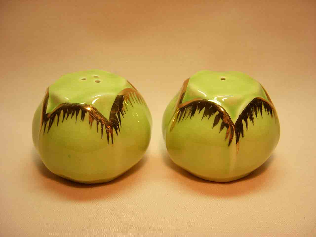 Vallona Starr tulips salt and pepper shakers